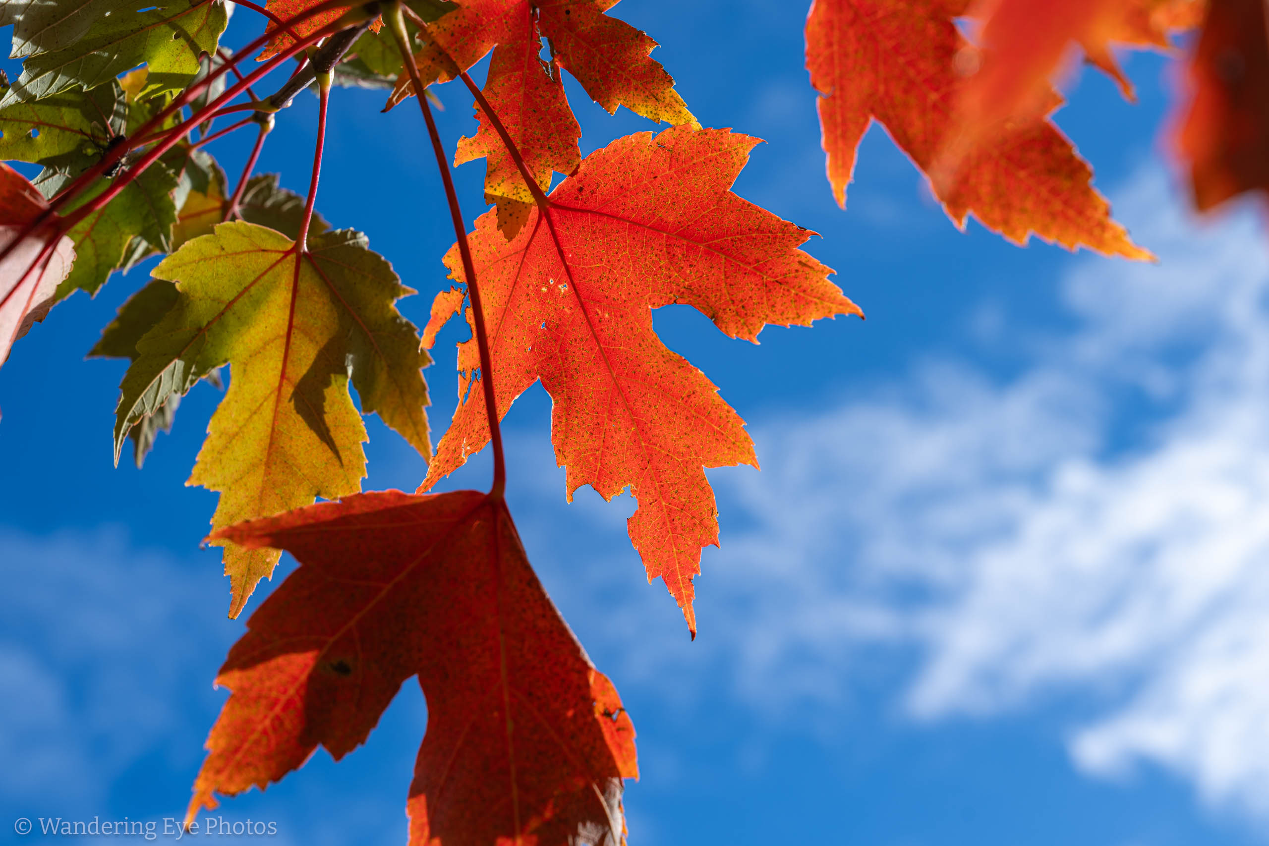 10.22 12.54.54   DSC09043